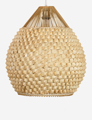 Cachae Tall Pendant Light