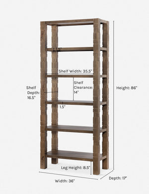 Palmyra Bookcase