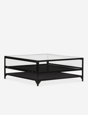 Persissa Shadowbox Coffee Table