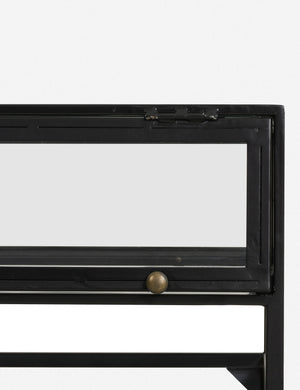 Persissa Shadowbox Coffee Table