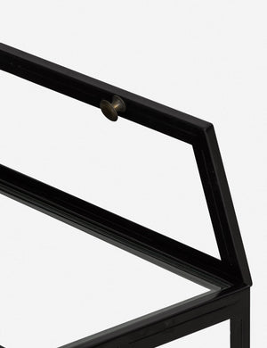 Persissa Shadowbox Coffee Table