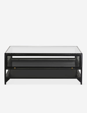 Persissa Shadowbox Coffee Table
