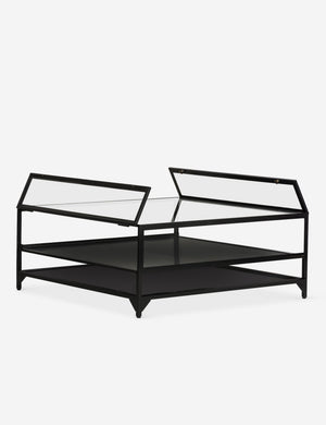 Persissa Shadowbox Coffee Table