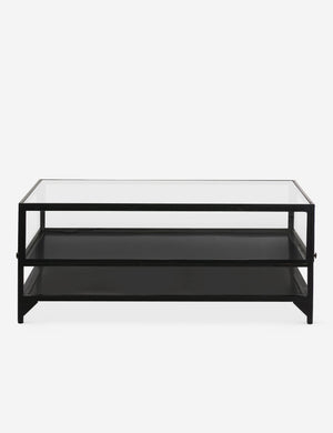 Persissa Shadowbox Coffee Table