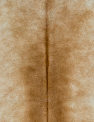 Cinnamon One-Of-A-Kind Hide Rug