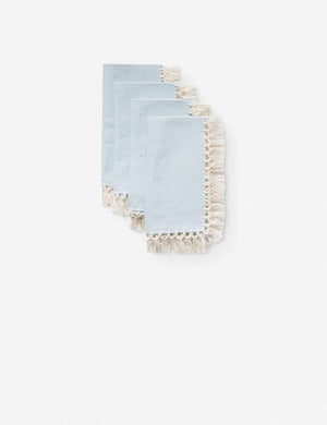 Darcy Napkins, Light Blue (Set of 4)