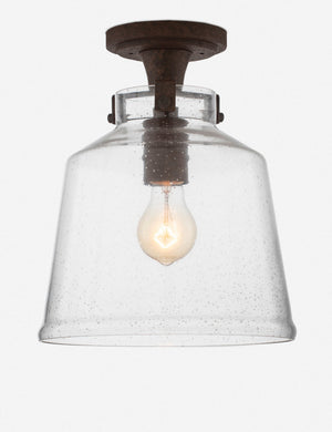 Sueanna Flush Mount Light