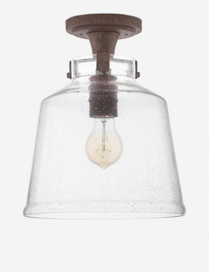 Sueanna Flush Mount Light