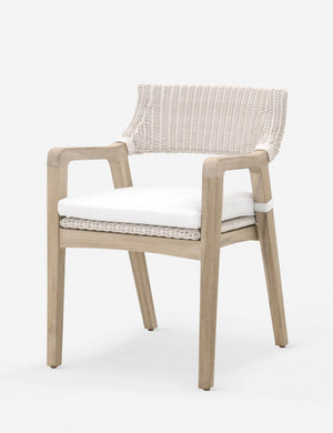 Tarzana Indoor / Outdoor Dining Chair
