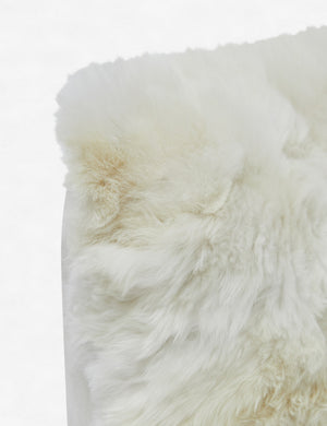 Viv Alpaca Lumbar Pillow