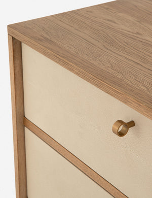 Panthea 6-Drawer Dresser